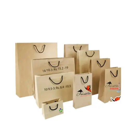 Paper Bag with rope 10/12 inches